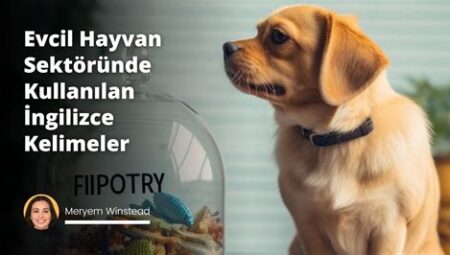 Evcil Hayvan Sektöründe Girişimcilik Fırsatları ve Trendler